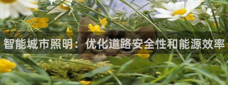 智能城市照明:优化道路安全性和能源效率