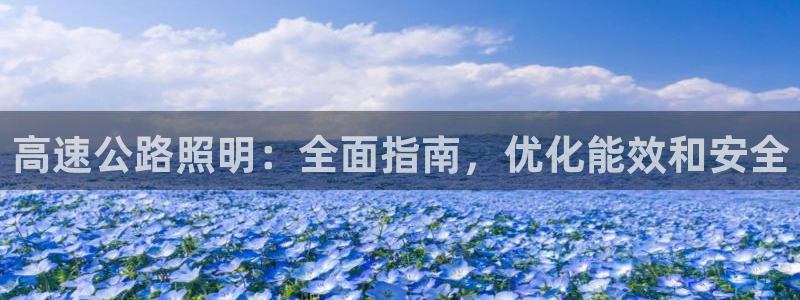 高速公路照明：全面指南，优化能效和安全