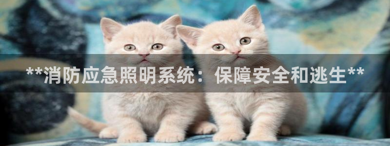 **消防应急照明系统：保障安全和逃生**