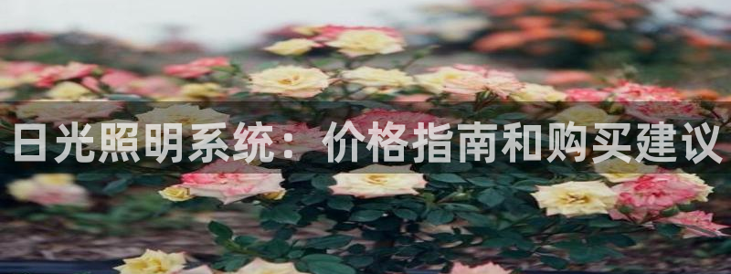 日光照明系统：价格指南和购买建议