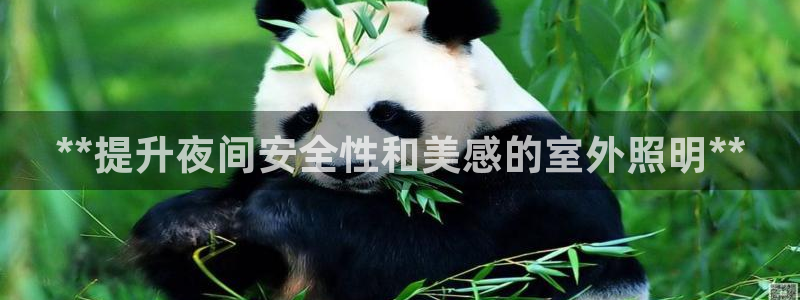 **提升夜间安全性和美感的室外照明**