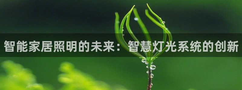 智能家居照明的未来：智慧灯光系统的创新
