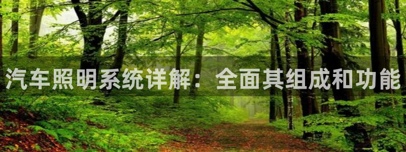 汽车照明系统详解：全面其组成和功能