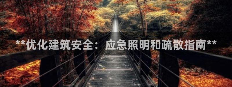 **优化建筑安全：应急照明和疏散指南**