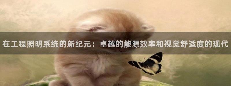 在工程照明系统的新纪元:卓越的能源效率和视觉舒适度的现代