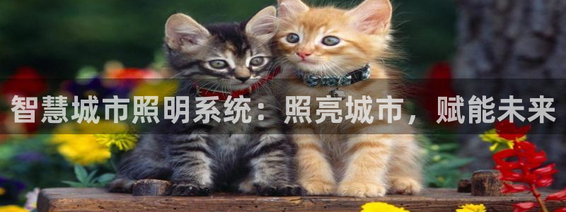 智慧城市照明系统：照亮城市，赋能未来