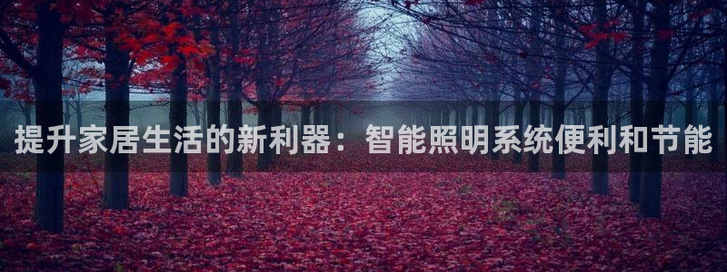提升家居生活的新利器：智能照明系统便利和节能