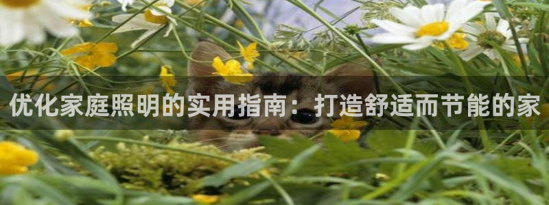 优化家庭照明的实用指南：打造舒适而节能的家