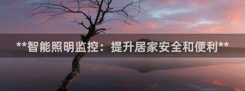 **智能照明监控：提升居家安全和便利**