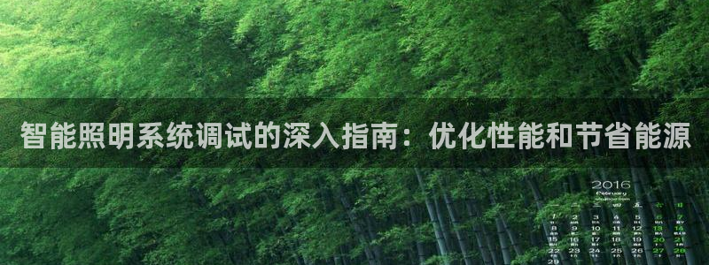 智能照明系统调试的深入指南：优化性能和节省能源