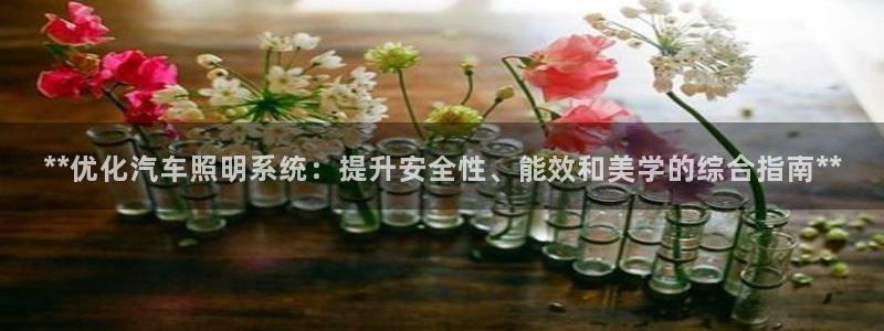 **优化汽车照明系统：提升安全性、能效和美学的综合指南**