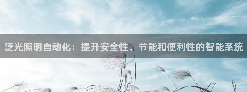 泛光照明自动化：提升安全性、节能和便利性的智能系统