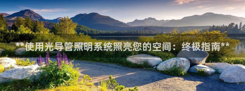 **使用光导管照明系统照亮您的空间：终极指南**