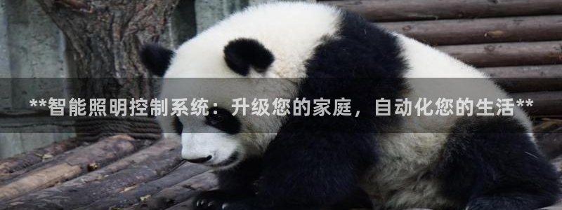 **智能照明控制系统：升级您的家庭，自动化您的生活**