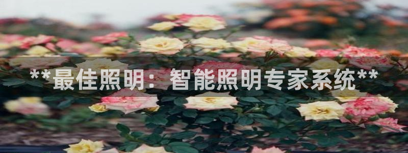 **最佳照明：智能照明专家系统**