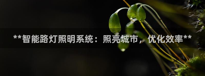 **智能路灯照明系统：照亮城市，优化效率**