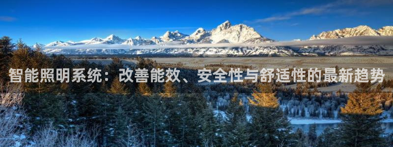 智能照明系统：改善能效、安全性与舒适性的最新趋势