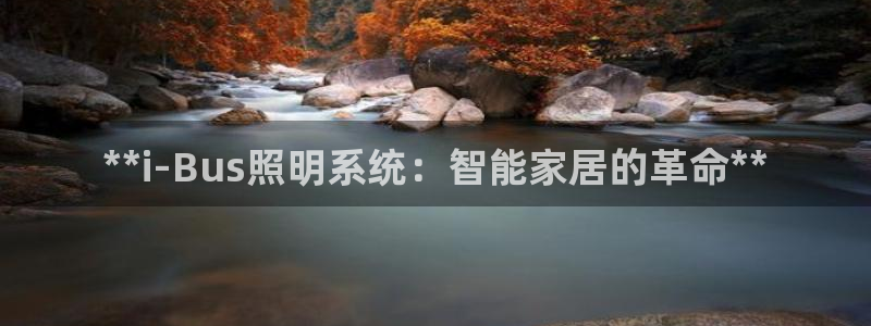 **i-Bus照明系统：智能家居的革命**
