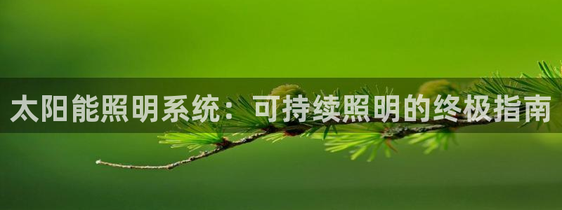 太阳能照明系统：可持续照明的终极指南