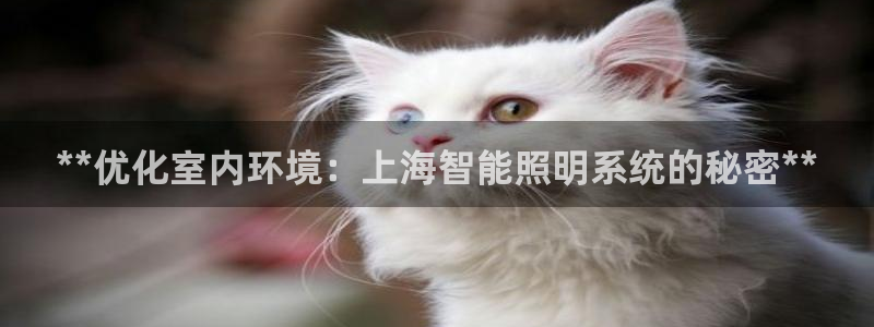**优化室内环境：上海智能照明系统的秘密**