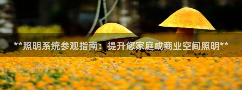 **照明系统参观指南：提升您家庭或商业空间照明**