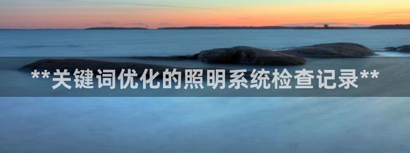 **关键词优化的照明系统检查记录**