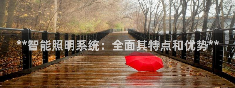 **智能照明系统：全面其特点和优势**