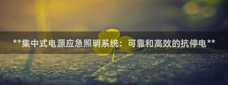 **集中式电源应急照明系统：可靠和高效的抗停电**