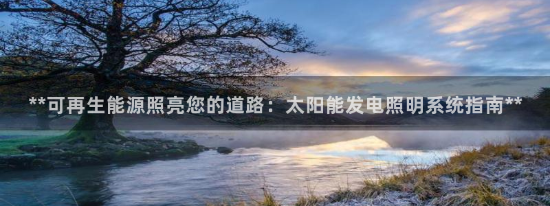 **可再生能源照亮您的道路：太阳能发电照明系统指南**