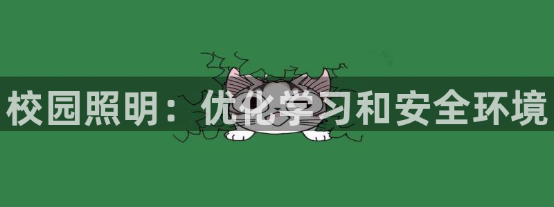 校园照明：优化学习和安全环境
