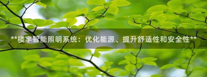 **楼宇智能照明系统：优化能源、提升舒适性和安全性**