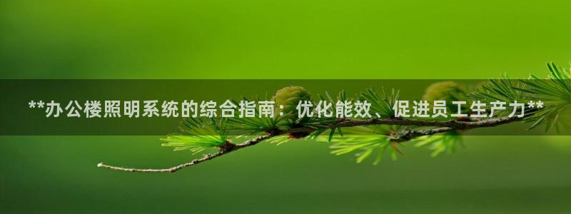 **办公楼照明系统的综合指南：优化能效、促进员工生产力**