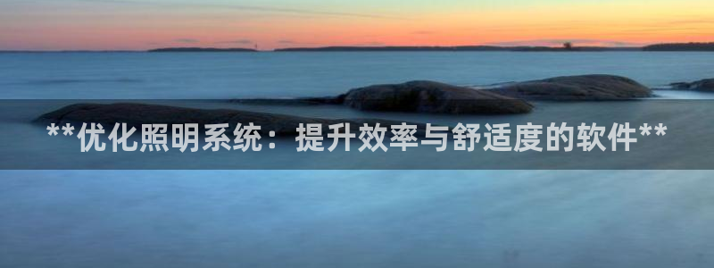 **优化照明系统：提升效率与舒适度的软件**