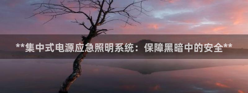 **集中式电源应急照明系统：保障黑暗中的安全**