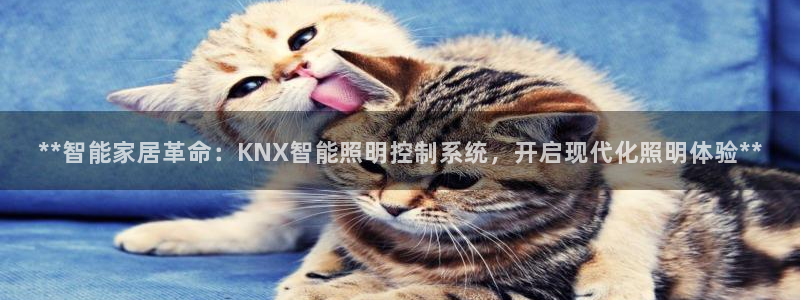 **智能家居革命:KNX智能照明控制系统,开启现代化照明体验**