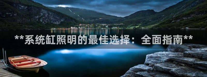 **系统缸照明的最佳选择：全面指南**