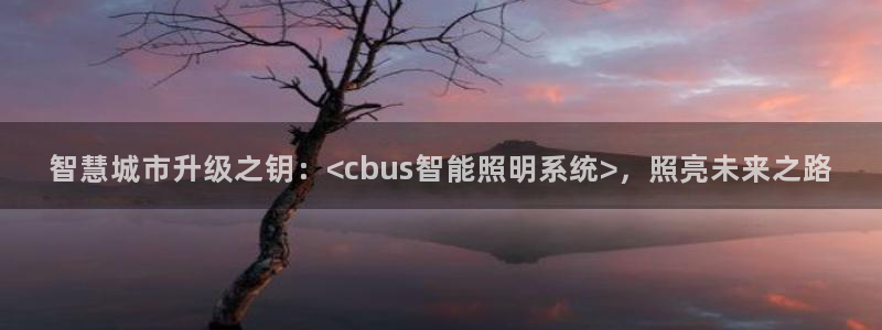 智慧城市升级之钥：<cbus智能照明系统>，照亮未来之路