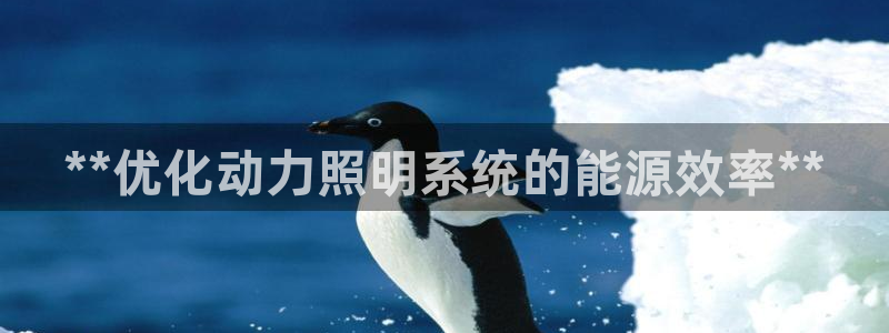 **优化动力照明系统的能源效率**