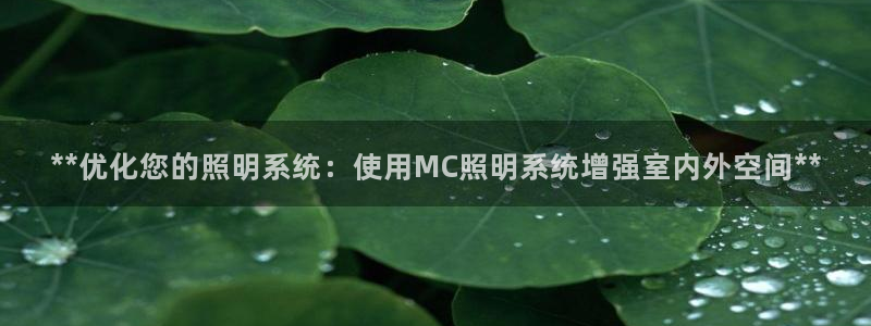 **优化您的照明系统:使用MC照明系统增强室内外空间**