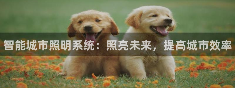 智能城市照明系统：照亮未来，提高城市效率