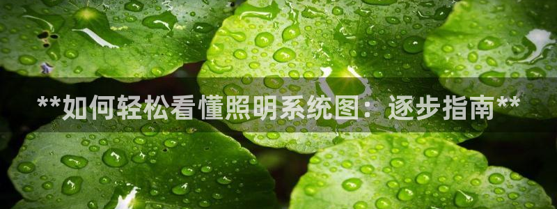 **如何轻松看懂照明系统图：逐步指南**