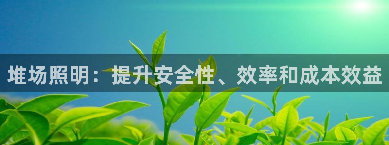 堆场照明：提升安全性、效率和成本效益