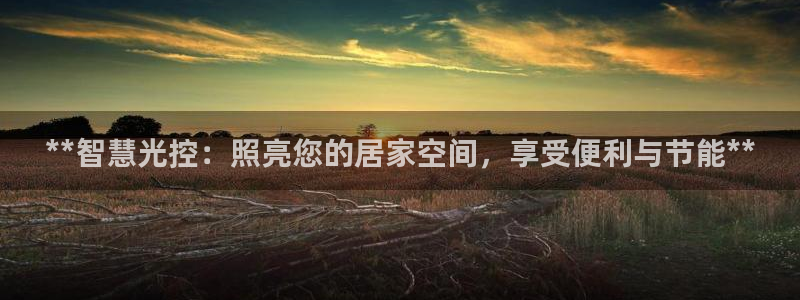 **智慧光控:照亮您的居家空间,享受便利与节能**