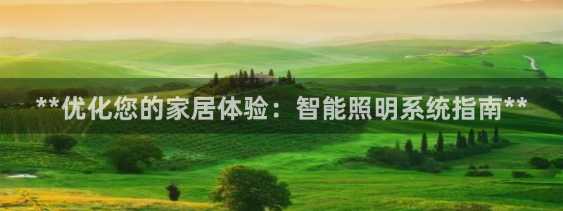 **优化您的家居体验：智能照明系统指南**