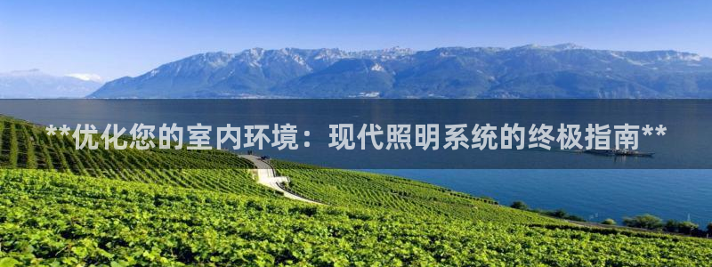 **优化您的室内环境：现代照明系统的终极指南**