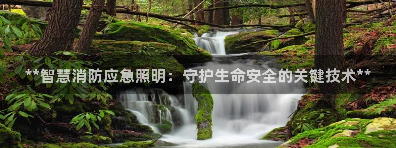 **智慧消防应急照明：守护生命安全的关键技术**