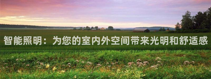 智能照明：为您的室内外空间带来光明和舒适感