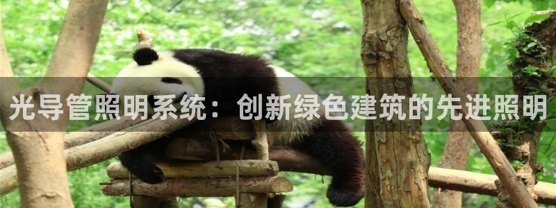 光导管照明系统：创新绿色建筑的先进照明