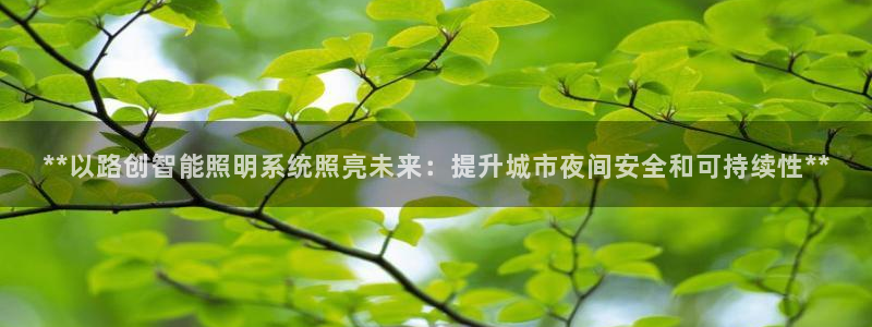 **以路创智能照明系统照亮未来:提升城市夜间安全和可持续性**