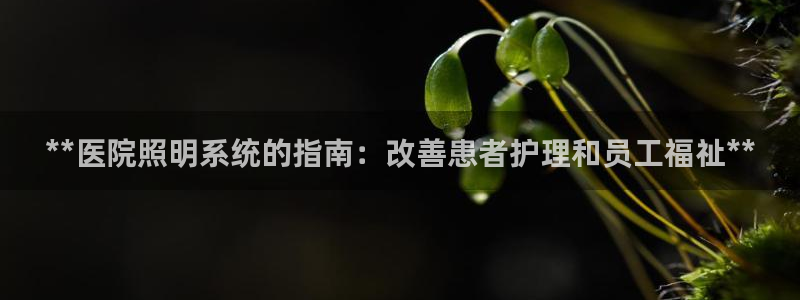 **医院照明系统的指南:改善患者护理和员工福祉**